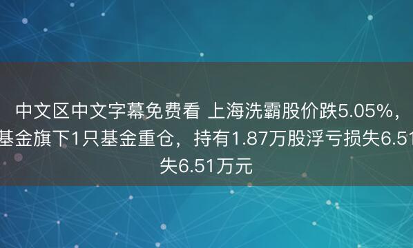 中文区中文字幕免费看 上海洗霸股价跌5.05%，鹏扬基金旗下1只基金重仓，持有1.87万股浮亏损失6.51万元