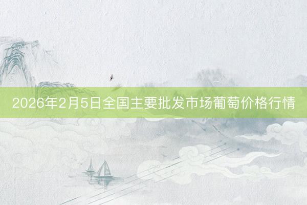 2026年2月5日全国主要批发市场葡萄价格行情