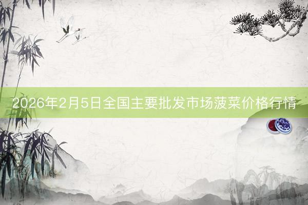 2026年2月5日全国主要批发市场菠菜价格行情
