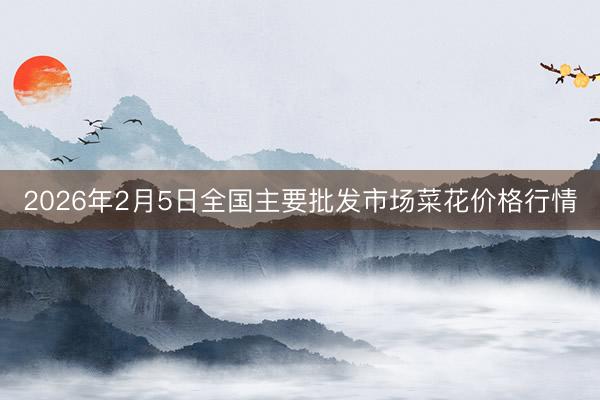 2026年2月5日全国主要批发市场菜花价格行情