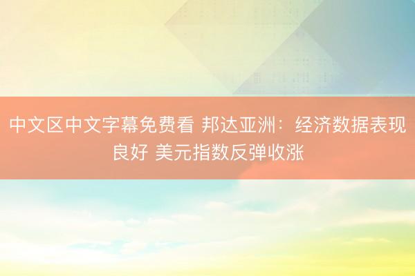 中文区中文字幕免费看 邦达亚洲：经济数据表现良好 美元指数反弹收涨