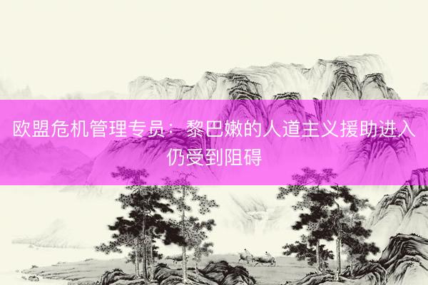 欧盟危机管理专员：黎巴嫩的人道主义援助进入仍受到阻碍