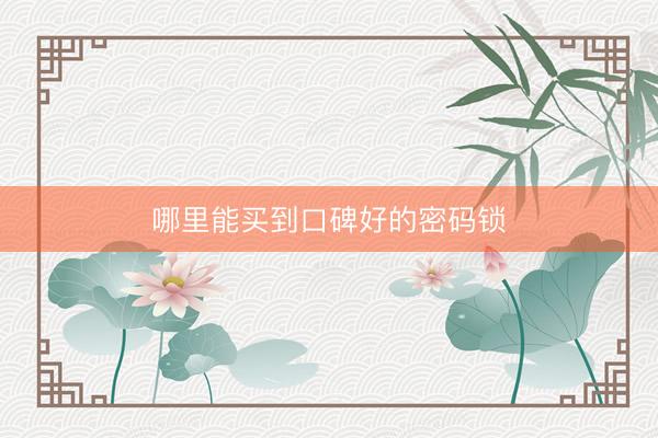 哪里能买到口碑好的密码锁