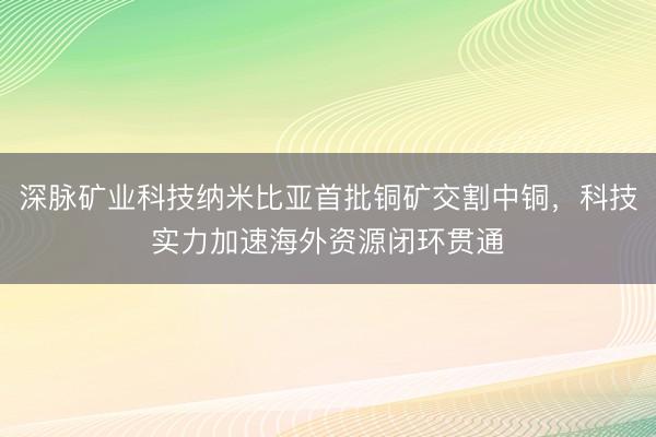 深脉矿业科技纳米比亚首批铜矿交割中铜，科技实力加速海外资源闭环贯通