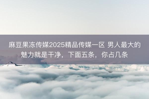 麻豆果冻传媒2025精品传媒一区 男人最大的魅力就是干净，下面五条，你占几条
