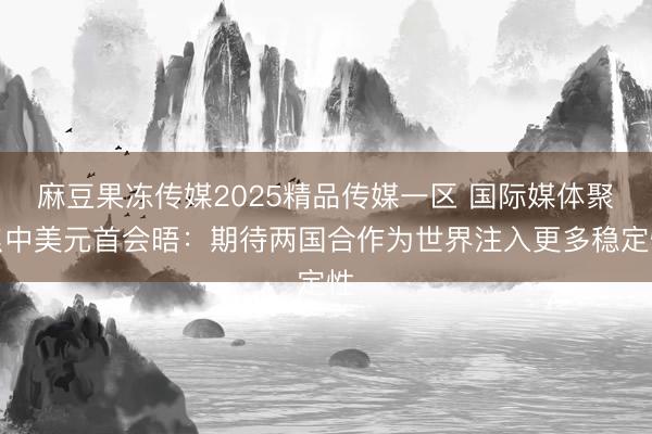 麻豆果冻传媒2025精品传媒一区 国际媒体聚焦中美元首会晤：期待两国合作为世界注入更多稳定性