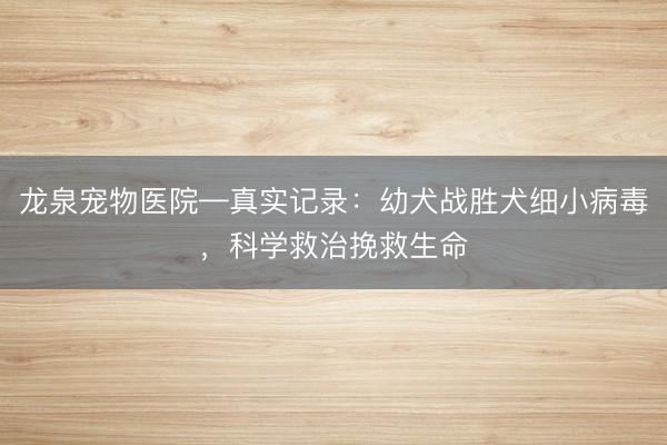 龙泉宠物医院—真实记录：幼犬战胜犬细小病毒，科学救治挽救生命