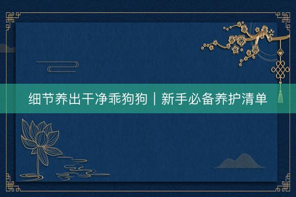 细节养出干净乖狗狗|新手必备养护清单
