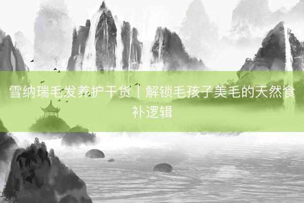 雪纳瑞毛发养护干货｜解锁毛孩子美毛的天然食补逻辑