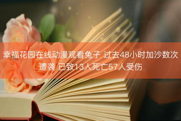 幸福花园在线动漫观看兔子 过去48小时加沙数次遭袭 已致13人死亡57人受伤