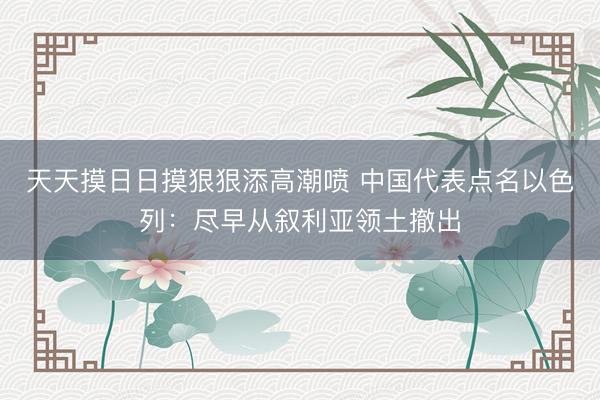 天天摸日日摸狠狠添高潮喷 中国代表点名以色列：尽早从叙利亚领土撤出