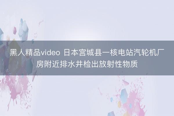 黑人精品video 日本宫城县一核电站汽轮机厂房附近排水井检出放射性物质