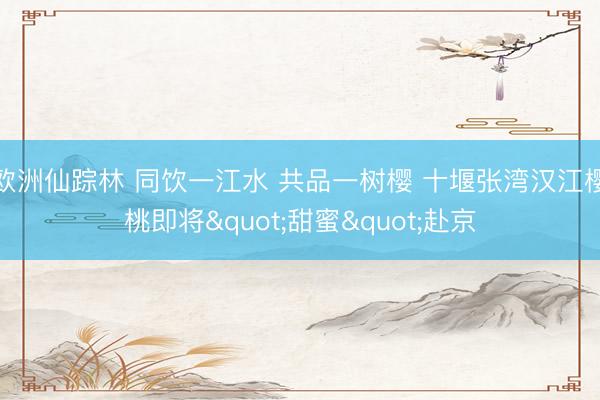 欧洲仙踪林 同饮一江水 共品一树樱 十堰张湾汉江樱桃即将"甜蜜"赴京
