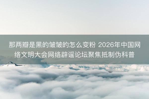 那两瓣是黑的皱皱的怎么变粉 2026年中国网络文明大会网络辟谣论坛聚焦抵制伪科普