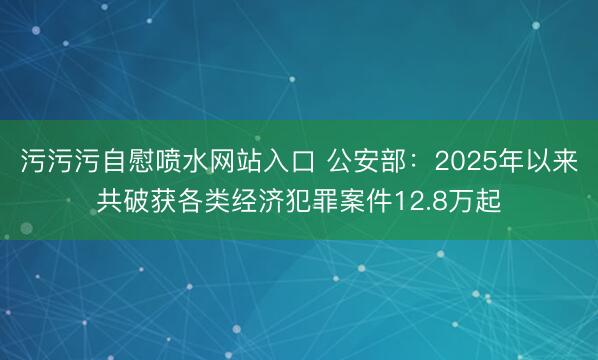 污污污自慰喷水网站入口 公安部：2025年以来共破获各类经济犯罪案件12.8万起
