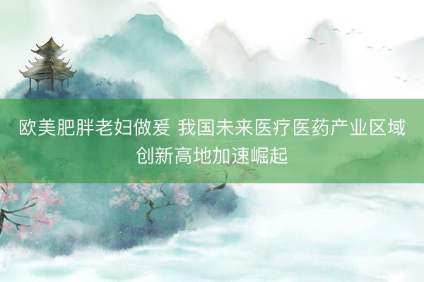 欧美肥胖老妇做爰 我国未来医疗医药产业区域创新高地加速崛起