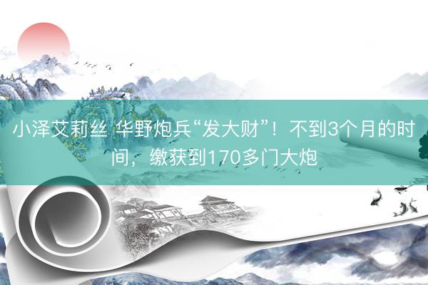 小泽艾莉丝 华野炮兵“发大财”！不到3个月的时间，缴获到170多门大炮