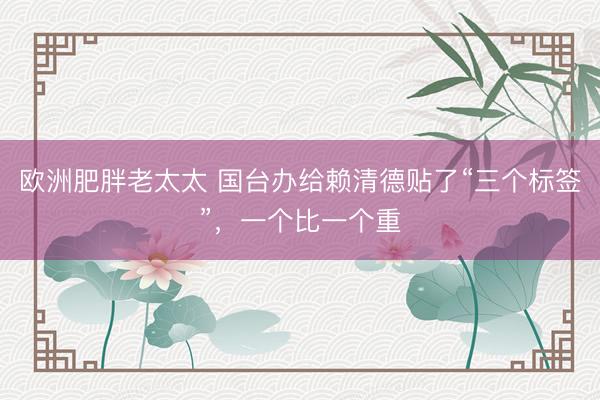 欧洲肥胖老太太 国台办给赖清德贴了“三个标签”，一个比一个重