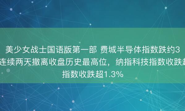 美少女战士国语版第一部 费城半导体指数跌约3.6%，连续两天撤离收盘历史最高位，纳指科技指数收跌超1.3%