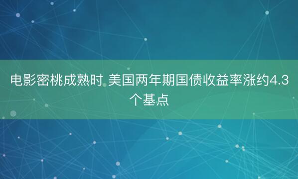 电影密桃成熟时 美国两年期国债收益率涨约4.3个基点