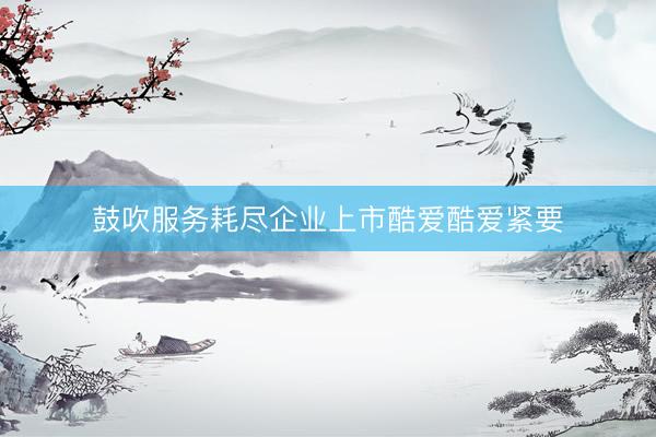 鼓吹服务耗尽企业上市酷爱酷爱紧要