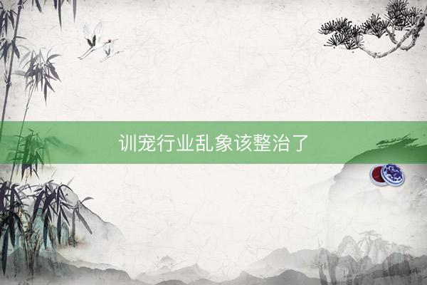 训宠行业乱象该整治了