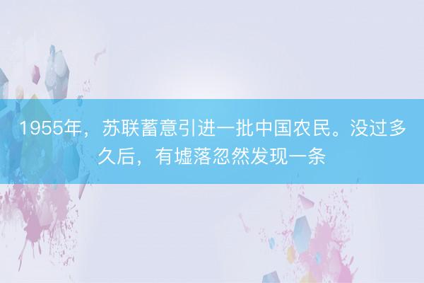1955年，苏联蓄意引进一批中国农民。没过多久后，有墟落忽然发现一条