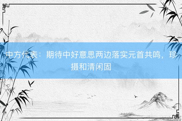 中方代表：期待中好意思两边落实元首共鸣，珍摄和清闲固
