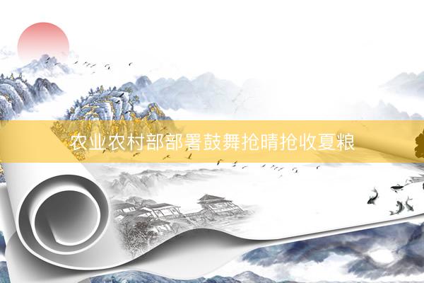 农业农村部部署鼓舞抢晴抢收夏粮