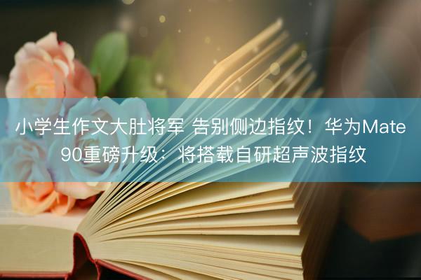 小学生作文大肚将军 告别侧边指纹！华为Mate 90重磅升级：将搭载自研超声波指纹