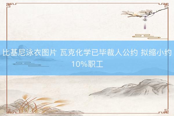 比基尼泳衣图片 瓦克化学已毕裁人公约 拟缩小约10%职工