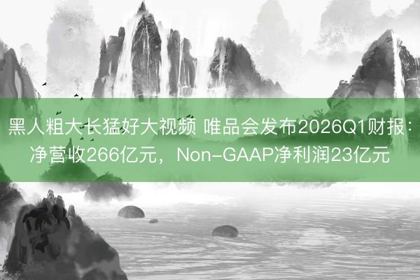 黑人粗大长猛好大视频 唯品会发布2026Q1财报：净营收266亿元，Non-GAAP净利润23亿元