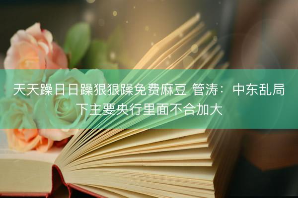 天天躁日日躁狠狠躁免费麻豆 管涛:中东乱局下主要央行里面不合加大