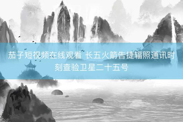 茄子短视频在线观看 长五火箭告捷辐照通讯时刻查验卫星二十五号