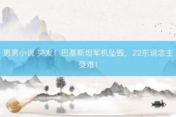男男小说 突发！巴基斯坦军机坠毁，22东说念主受难！