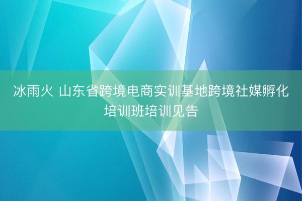 冰雨火 山东省跨境电商实训基地跨境社媒孵化培训班培训见告