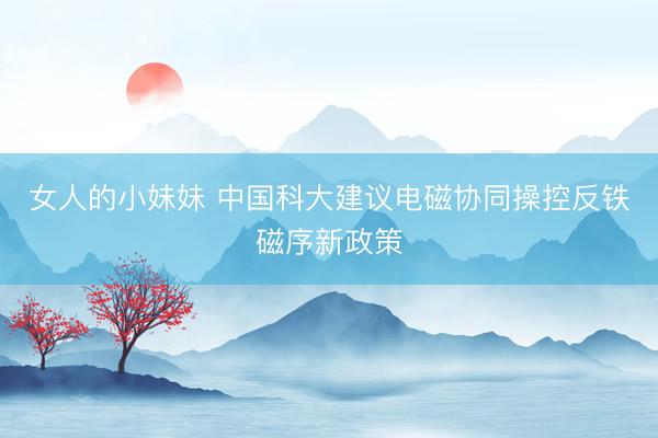 女人的小妹妹 中国科大建议电磁协同操控反铁磁序新政策