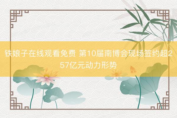 铁娘子在线观看免费 第10届南博会现场签约超257亿元动力形势