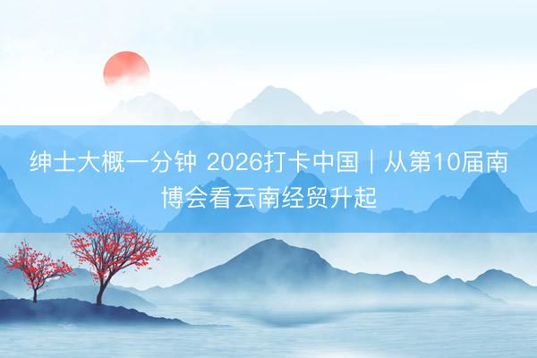 绅士大概一分钟 2026打卡中国｜从第10届南博会看云南经贸升起