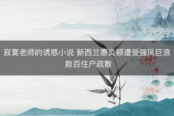 寂寞老师的诱惑小说 新西兰惠灵顿遭受强风巨浪 数百住户疏散