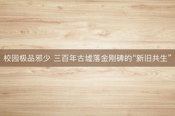 校园极品邪少 三百年古墟落金刚碑的“新旧共生”