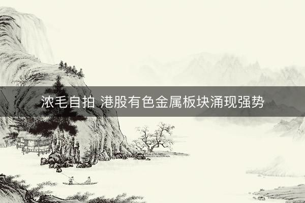 浓毛自拍 港股有色金属板块涌现强势