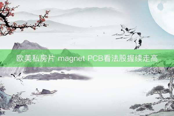 欧美私房片 magnet PCB看法股握续走高