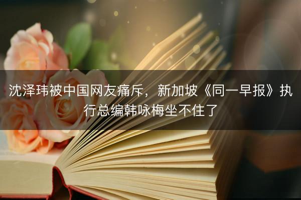 沈泽玮被中国网友痛斥，新加坡《同一早报》执行总编韩咏梅坐不住了