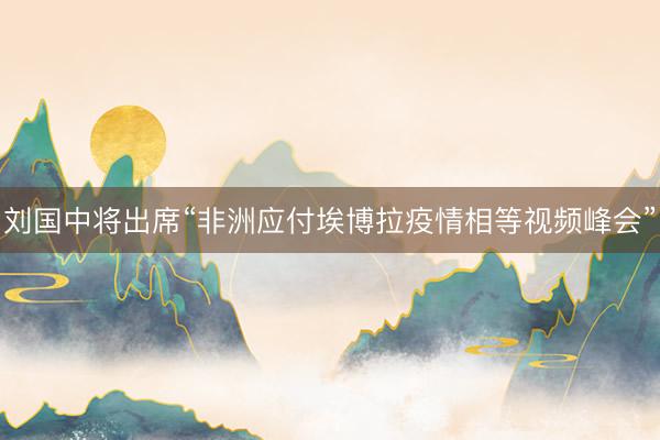 刘国中将出席“非洲应付埃博拉疫情相等视频峰会”