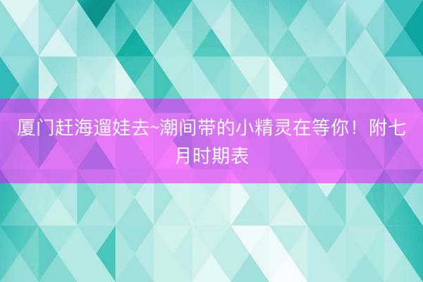 厦门赶海遛娃去~潮间带的小精灵在等你！附七月时期表