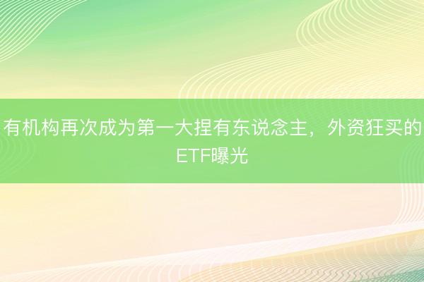 有机构再次成为第一大捏有东说念主，外资狂买的ETF曝光